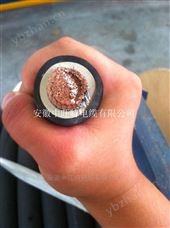 供應JBQ 11400V電機引接線電纜