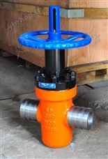 CHVJ沧海HDGC-200超高压矿用管道定制阀