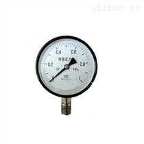 YTS-100耐酸壓力表