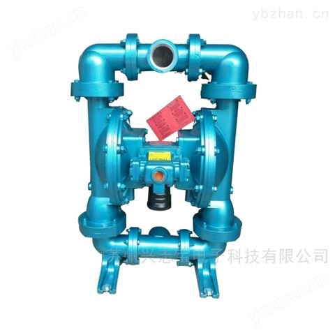 斯凱力Skylink泵閥LS80，AA-AA-NE-PP-NE-OF 管道泵