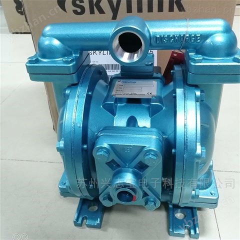 斯凱力Skylink泵閥LS80，AA-AA-NE-PP-NE-OF 管道泵