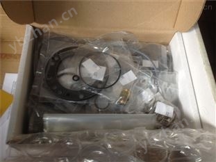 朝阳市BRONKHORST气体流量控制器Ar 1000Sccm流量计荷兰