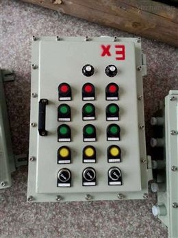 防爆電源按鈕箱BXX檢修箱