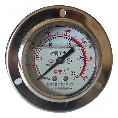 YN60ZT耐震壓力表