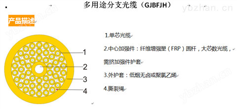 多用途分支光纜（GJBFJH）