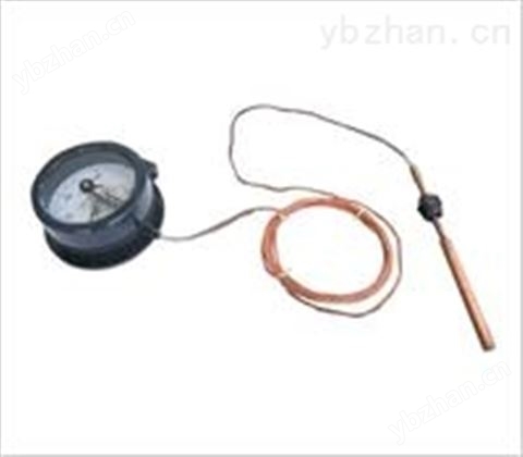 WTZ、WTQ系列電接點壓力式溫度計